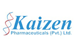 kaizen